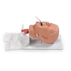 Economy Adult Airway Management Trainer By Simulaids