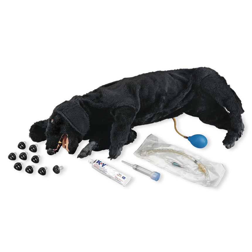 Life/Form Basic Sanitary CPR Dog Manikin