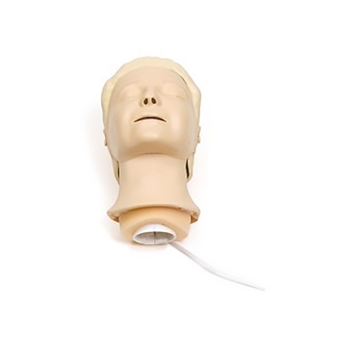 Laerdal Resusci Anne Replacement Head Complete