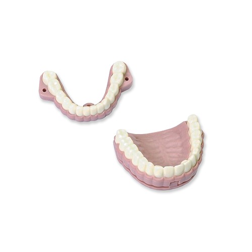 Laerdal Teeth Ridges & Audio Signal Device