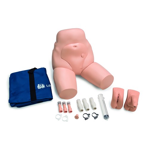 Laerdal Trainer Interchangeable Catheterization And Enema Simulator