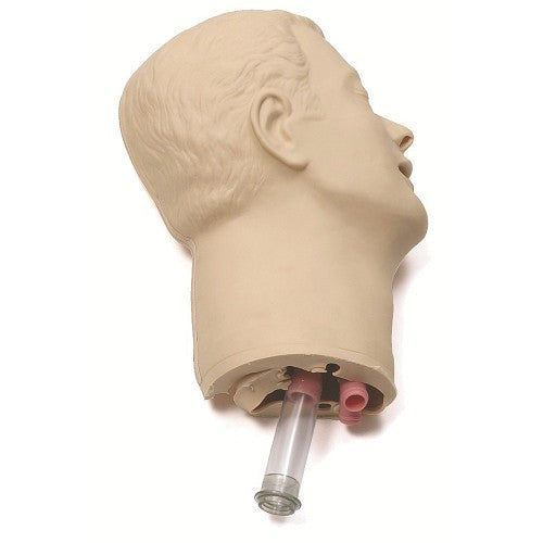 Laerdal Replacement Head Skin Airways Teeth