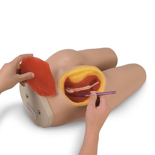 Life/form Intramuscular Injection Simulator