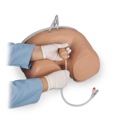 Life/form Male & Female Catheterization Simulators