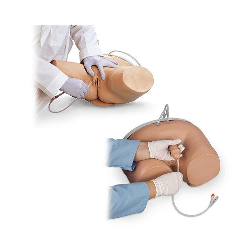 Life/form Male & Female Catheterization Simulators