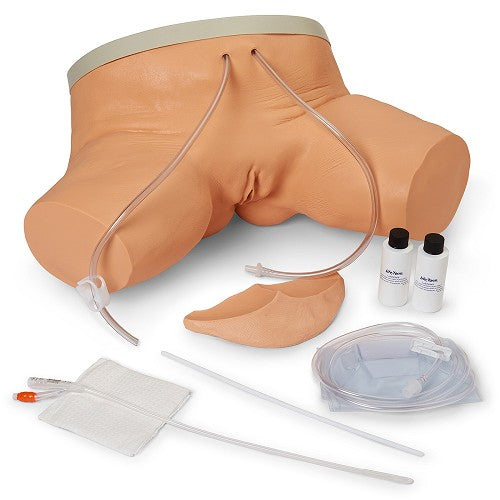 Life/form Male & Female Catheterization Simulators