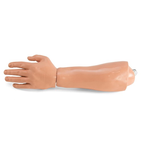 Simulaids Rescue Randy Large Body Replacement Lower Arm & Hand